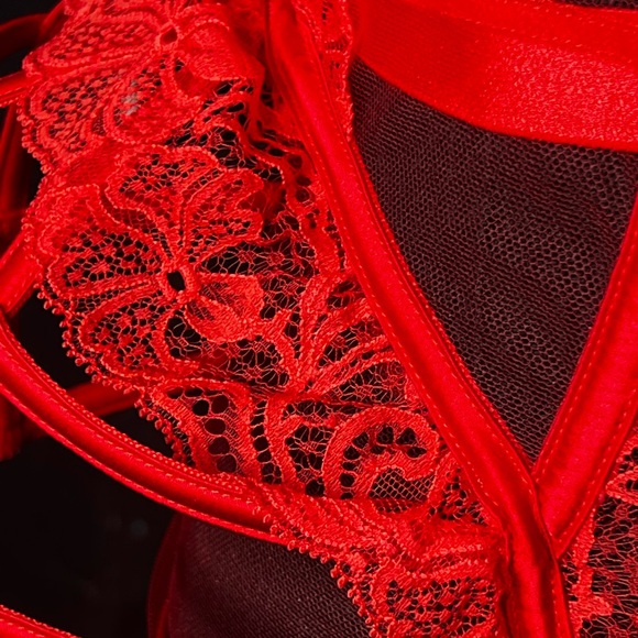 Brand NWT Agent Provocateur Red Rozlyn Waspie size 4 - Picture 5 of 6